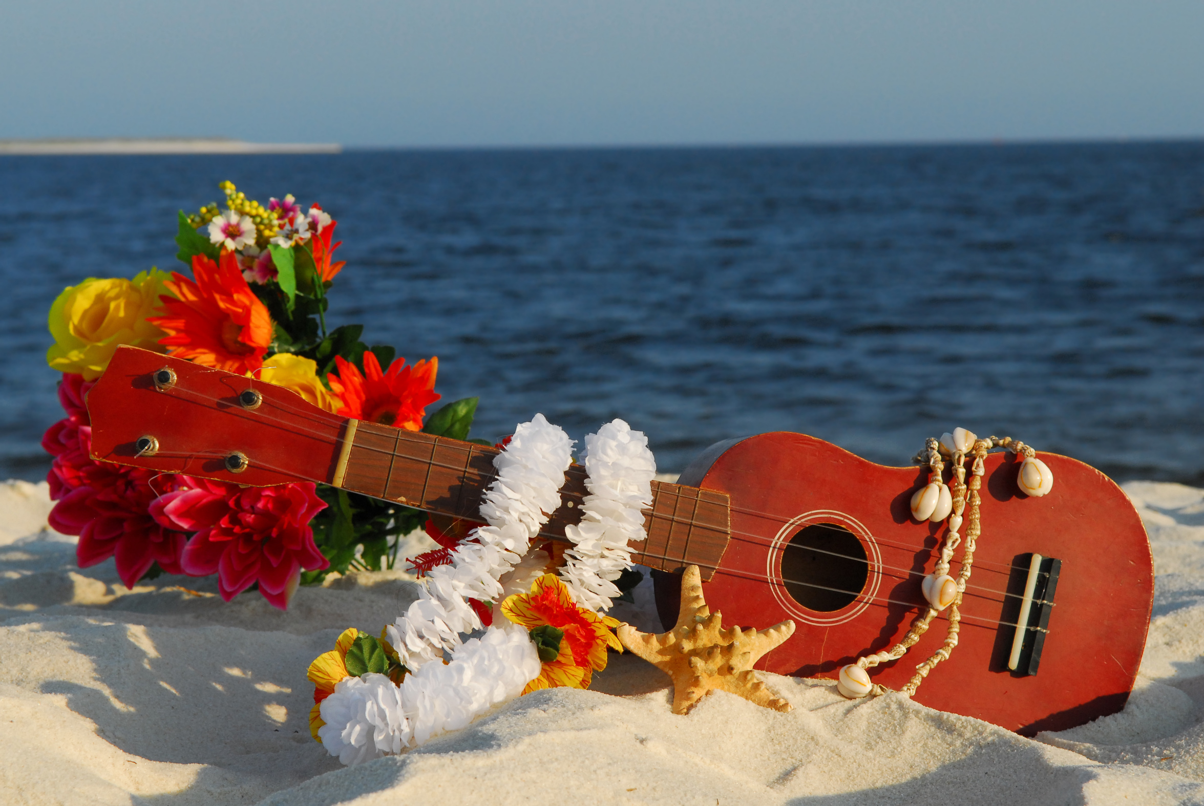 Гавайи музыка. Укулеле Гавайи. Гитара Гавайская. Гавайи гитара. Гитара цветы.