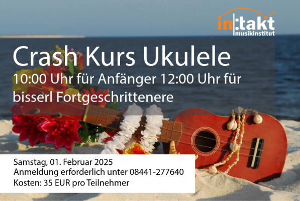 Lust auf Ukulele? Workshop für etwas Fortgeschrittenere